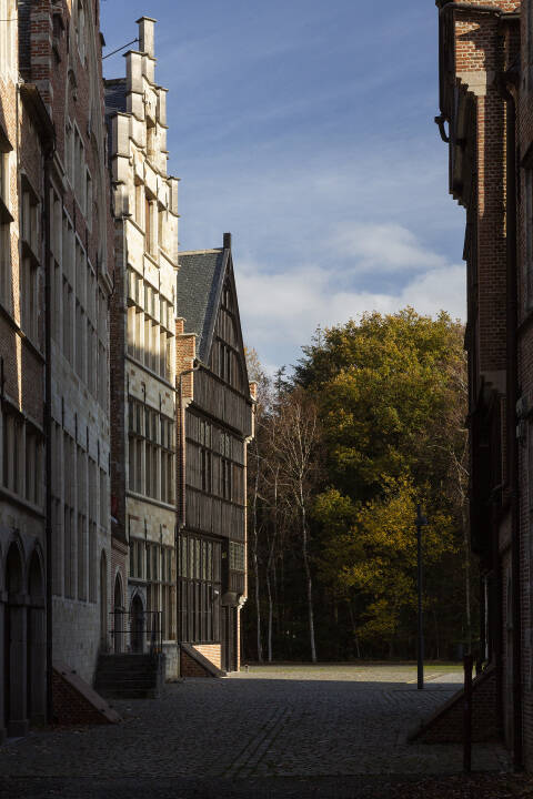 huis de Witte Engel
